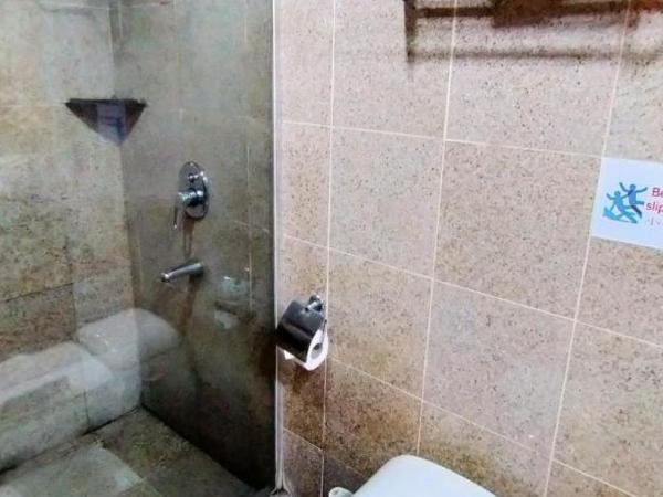 TD Plaza Hotel : photo 8 de la chambre chambre lit king-size supérieure