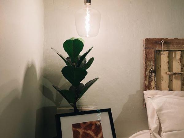 Very Hotel : photo 4 de la chambre chambre double standard