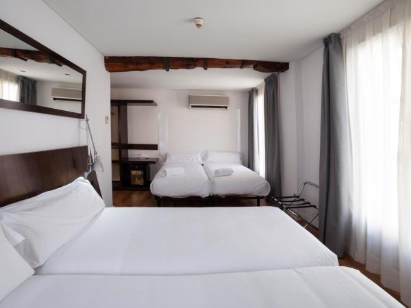 Petit Palace Arana Bilbao : photo 1 de la chambre chambre double avec 2 lits d'appoint
