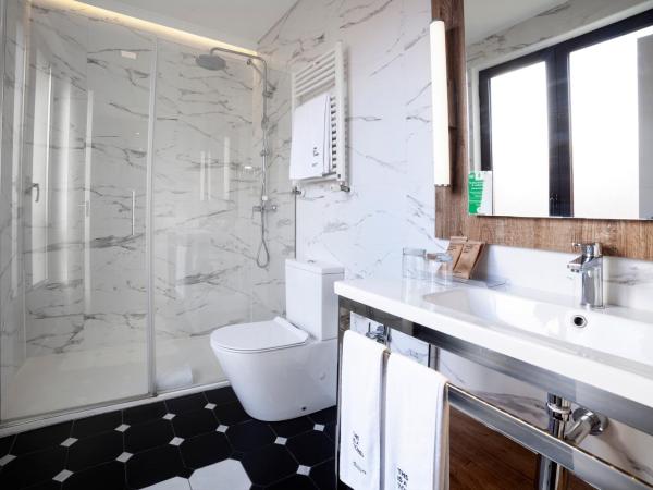 Petit Palace Arana Bilbao : photo 4 de la chambre chambre double ou lits jumeaux (1-2 adultes)