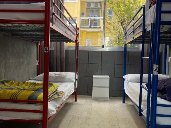Lion Hostel : photo 10 de la chambre lit dans dortoir mixte de 8 lits 