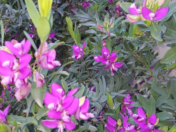 Il Giardino del Nespolo : photo 4 de la chambre chambre familiale avec salle de bains privative séparée