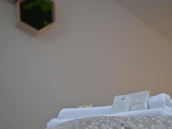 Pension Vyhlídka : photo 9 de la chambre chambre familiale deluxe