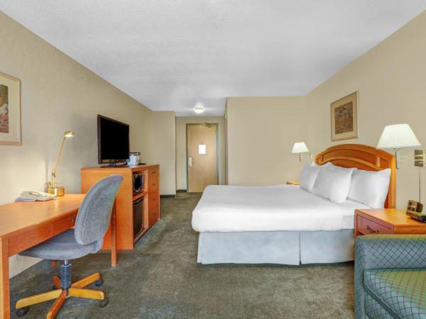 Days Inn by Wyndham Red Deer : photo 3 de la chambre chambre lit king-size - non-fumeurs