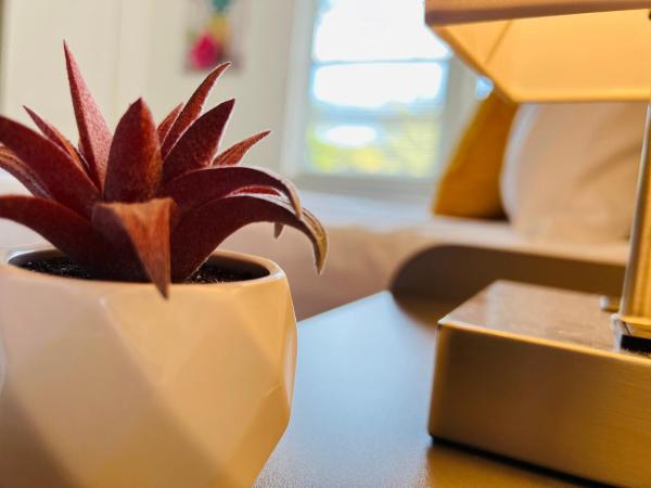 Coco Bay Vacation Condos : photo 9 de la chambre appartement 2 chambres