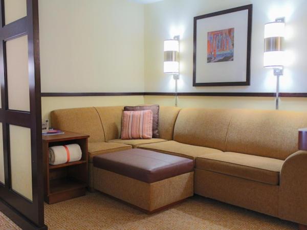 Hyatt Place Atlanta Downtown : photo 3 de la chambre chambre lit king-size avec canapé-lit