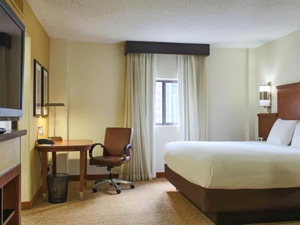 Hyatt Place Atlanta Downtown : photo 1 de la chambre chambre lit king-size pour personnes à mobilité réduite avec canapé-lit et baignoire adaptée