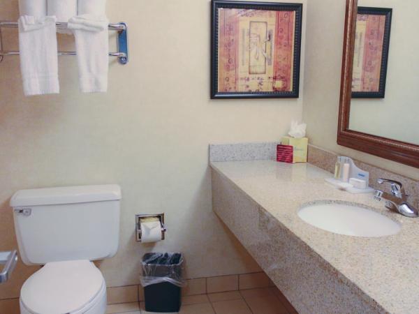 Ramada Plaza by Wyndham Atlanta Airport : photo 1 de la chambre chambre lit king-size - non-fumeurs