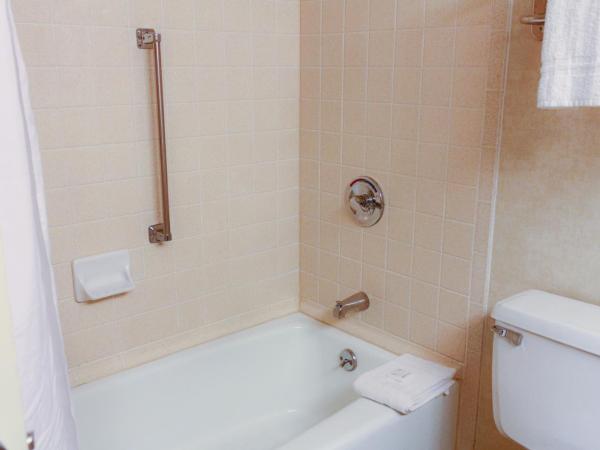 Ramada Plaza by Wyndham Atlanta Airport : photo 2 de la chambre chambre lit king-size - non-fumeurs