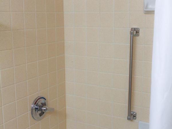 Ramada Plaza by Wyndham Atlanta Airport : photo 5 de la chambre chambre lit king-size pour personnes à mobilité réduite - non-fumeurs