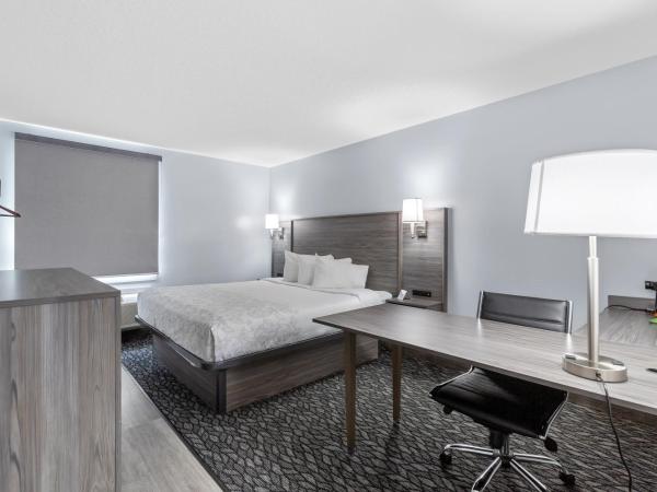 Emerald Hotel & Suites Calgary Airport : photo 3 de la chambre superior king room - disability access/roll-in shower - non smoking