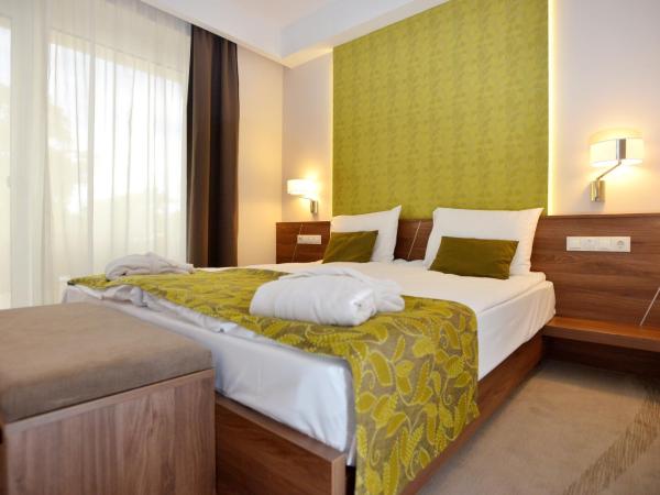 Imola Hotel Platán : photo 2 de la chambre chambre double ou lits jumeaux premium