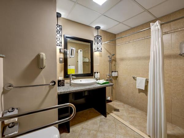 Holiday Inn Dubai Al Barsha, an IHG Hotel : photo 3 de la chambre chambre lits jumeaux standard