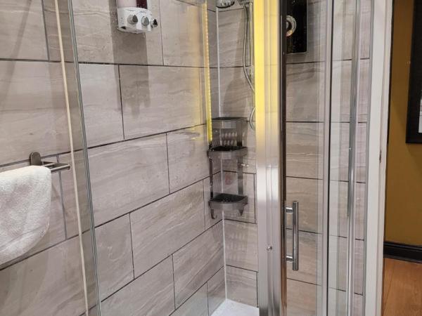 Frederick Douglass - Rooms In The City : photo 3 de la chambre chambre double standard