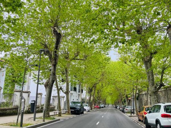 Hotel Royal Suite Santander : photo 3 de la chambre suite de luxe avec terrasse et vue sur la mer