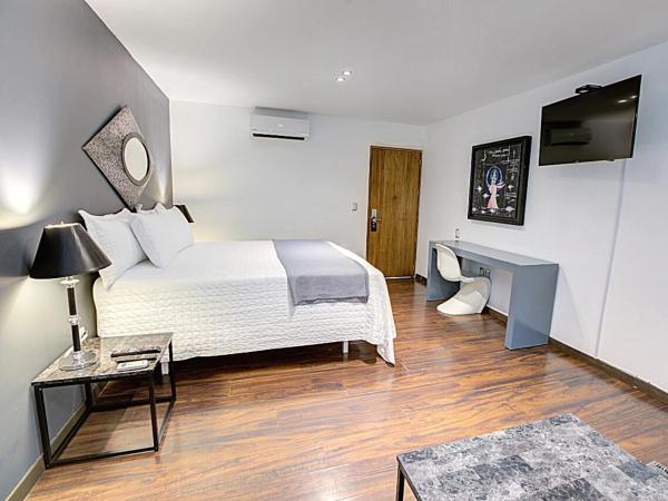 Hotel CLARUM 101 : photo 1 de la chambre suite junior