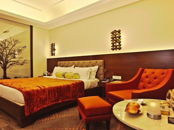Hotel Hindusthan International, Kolkata : photo 8 de la chambre imperial double or twin room with 20% discount on ala-carte food, 10% discount on beverages, 15% discount on laundry, 15% discount on spa