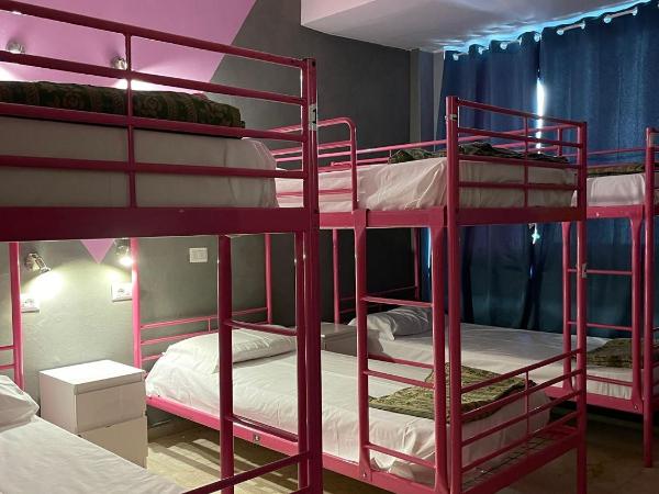 Lion Hostel : photo 7 de la chambre lit dans dortoir pour femmes de 6 lits