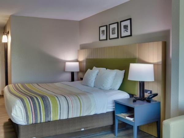 Country Inn & Suites by Radisson, Savannah Gateway, GA : photo 4 de la chambre suite studio lit king-size avec canapé-lit - non-fumeurs
