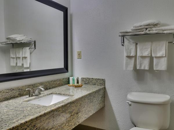 Country Inn & Suites by Radisson, Savannah Gateway, GA : photo 8 de la chambre suite studio avec 2 lits queen-size - non-fumeurs