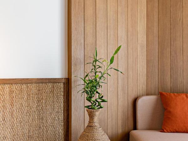 Minos Ambassador Suites & Spa - Adults only : photo 8 de la chambre suite junior supérieure