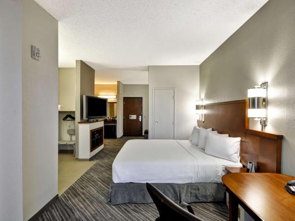 Hyatt Place Las Vegas : photo 5 de la chambre chambre lit king-size avec douche accessible en fauteuil roulant - adaptée aux personnes à mobilité réduite