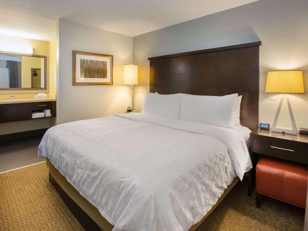 Sonesta ES Suites Orlando - Lake Buena Vista : photo 1 de la chambre suite 1 chambre lit king-size