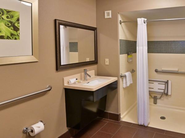 Sonesta ES Suites Orlando - Lake Buena Vista : photo 6 de la chambre suite 1 chambre lit queen-size pour personnes à mobilité réduite avec douche accessible en fauteuil roulant