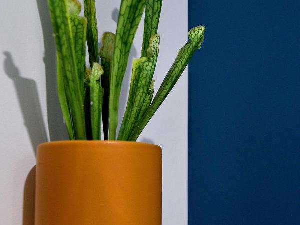 Hôtel Le Tiburon : photo 6 de la chambre chambre double