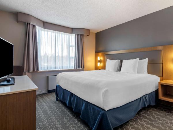 Best Western Plus Vancouver Airport Hotel : photo 3 de la chambre chambre lit king-size - douche seulement