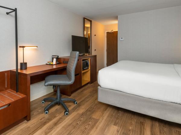 Comfort Inn : photo 10 de la chambre chambre 2 lits queen-size - 1er Étage - non-fumeurs