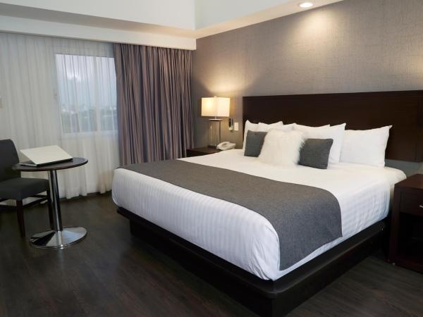 Ejecutivo Express Guadalajara Providencia - Av México : photo 6 de la chambre chambre lit king-size standard