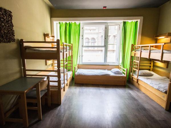 Treestyle Hostel : photo 2 de la chambre appartement (10 adultes)