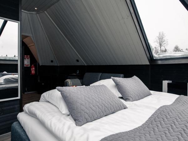 Apukka Resort : photo 9 de la chambre cabine aurora - igloo de verre