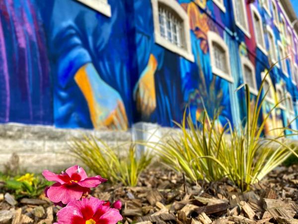 Chambre d'hôtes de Verdigné Piscine chauffée Parking Wifi : photo 7 de la chambre chambre supérieure lit queen-size
