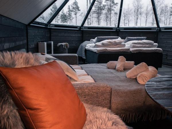 Apukka Resort : photo 8 de la chambre cabine aurora lit queen-size