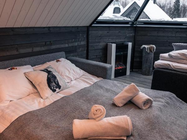 Apukka Resort : photo 7 de la chambre cabine aurora lit queen-size