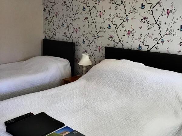 The New Inn Motel : photo 1 de la chambre chambre familiale standard