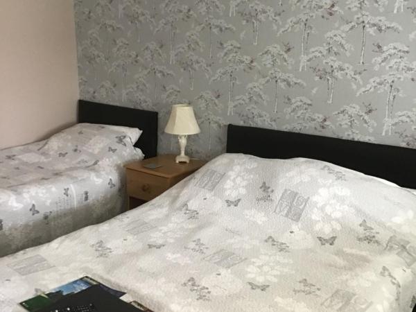 The New Inn Motel : photo 3 de la chambre chambre familiale supérieure