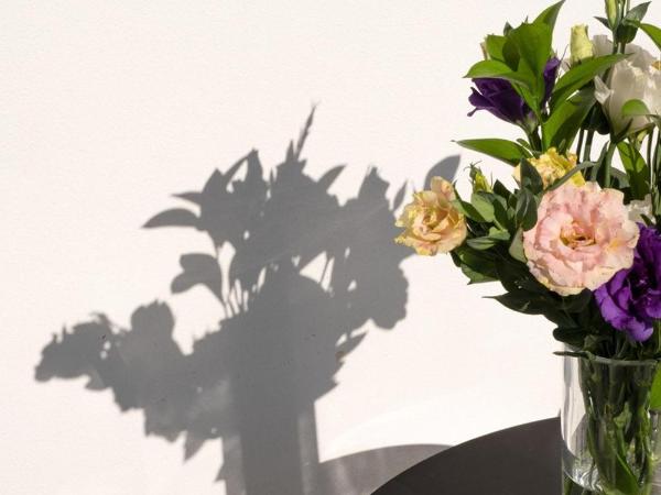 Espina Hotel : photo 6 de la chambre chambre familiale