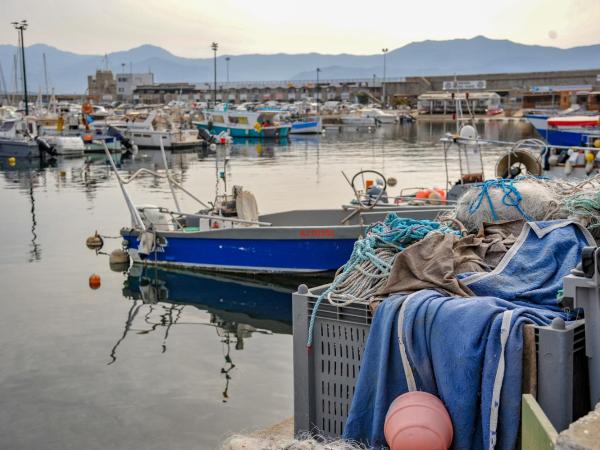 Les Studios du Pêcheur - Hypercentre - Clim - City Trip : photo 5 de la chambre studio - vue sur mer