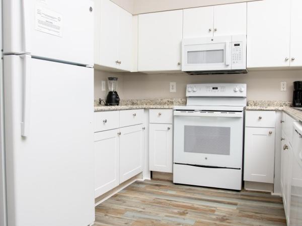 Shores of Panama Resort : photo 5 de la chambre hébergement 1 chambre - vue sur golfe