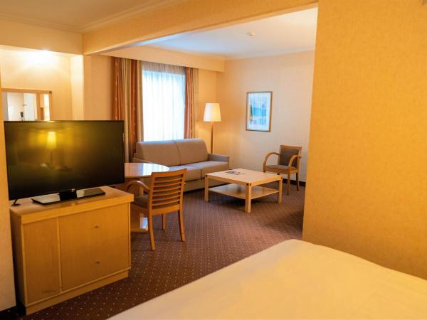 Holiday Inn Gent Expo, an IHG Hotel : photo 1 de la chambre chambre lit king-size premium avec canapé-lit