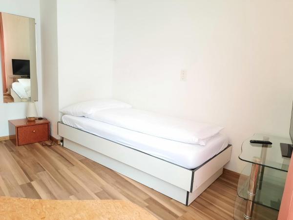 Spalenbrunnen Hotel & Restaurant Basel City Center : photo 2 de la chambre chambre simple