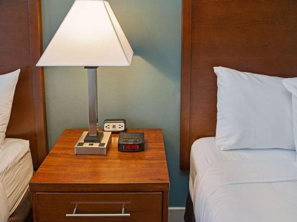 Econo Lodge Inn & Suites : photo 6 de la chambre chambre standard avec 2 lits queen-size - non-fumeurs/couloir extérieur