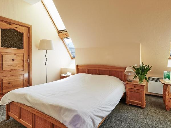 Hotel Skalny : photo 1 de la chambre chambre simple
