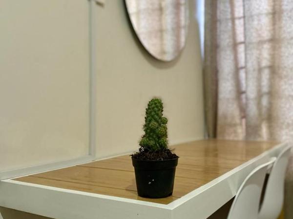 CASA CEMPOAL : photo 5 de la chambre chambre triple avec salle de bains commune