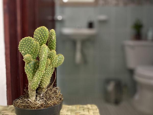 CASA CEMPOAL : photo 9 de la chambre chambre lit king-size