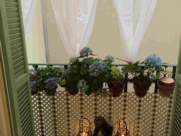 Chambre et salle de bain cocooning labellisée : photo 8 de la chambre chambre double