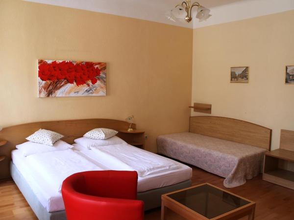 Hotel Graf Stadion : photo 1 de la chambre chambre triple
